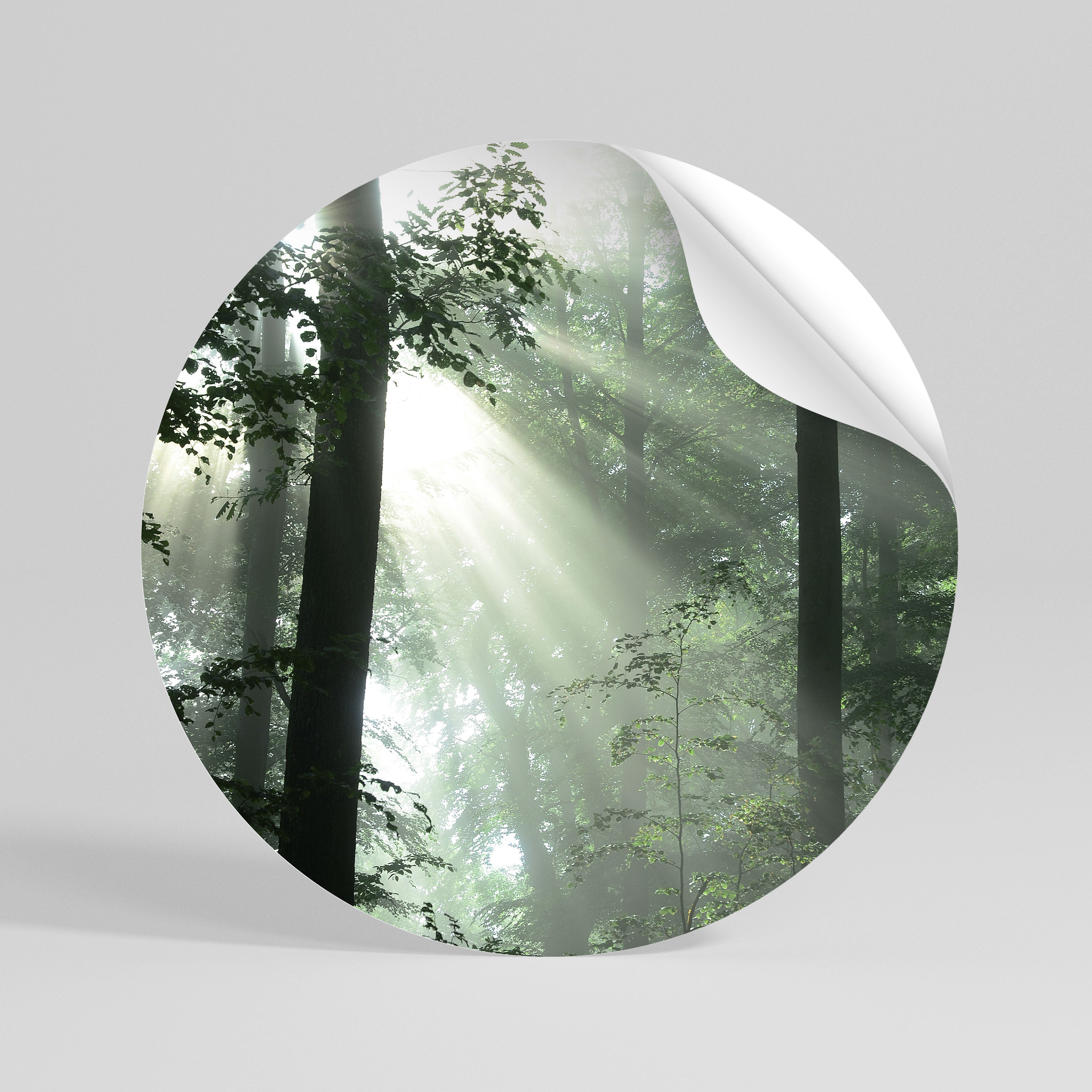 MYSTICAL SUNBEAMS Peel and Stick Round Sticker