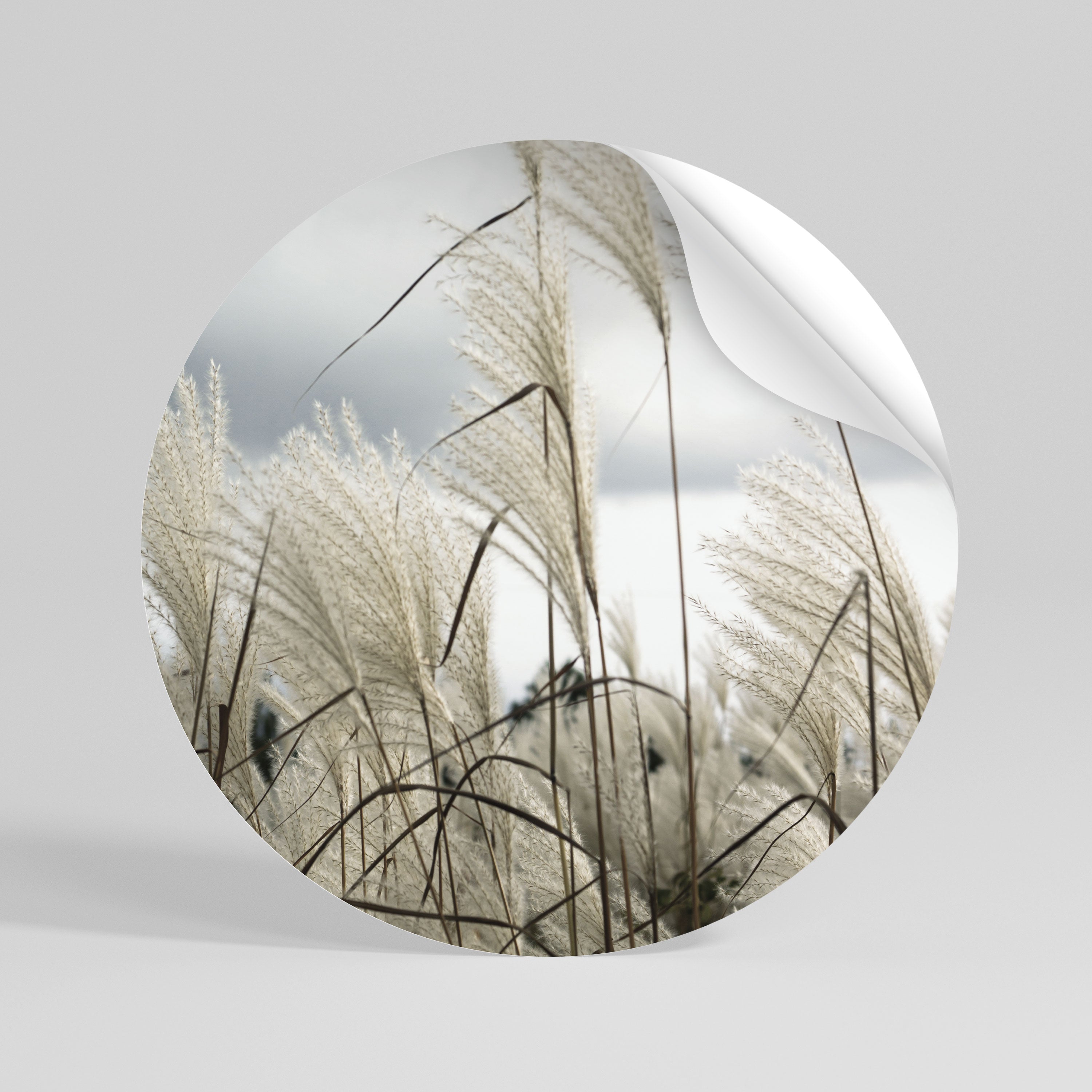 CLOUDS ABOVE GRASS Peel and Stick Round Sticker