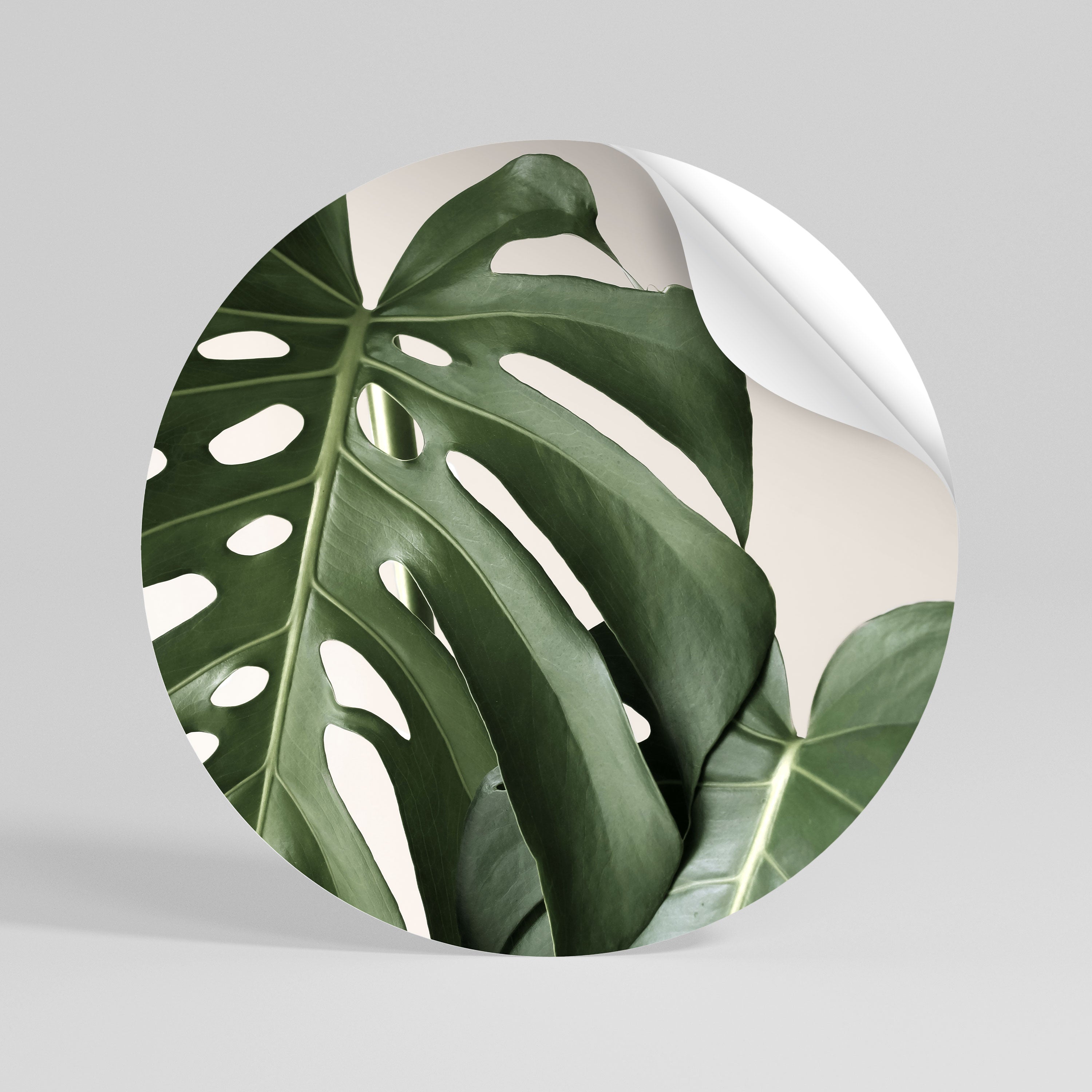 MONSTERA ACCURACY Peel and Stick Round Sticker