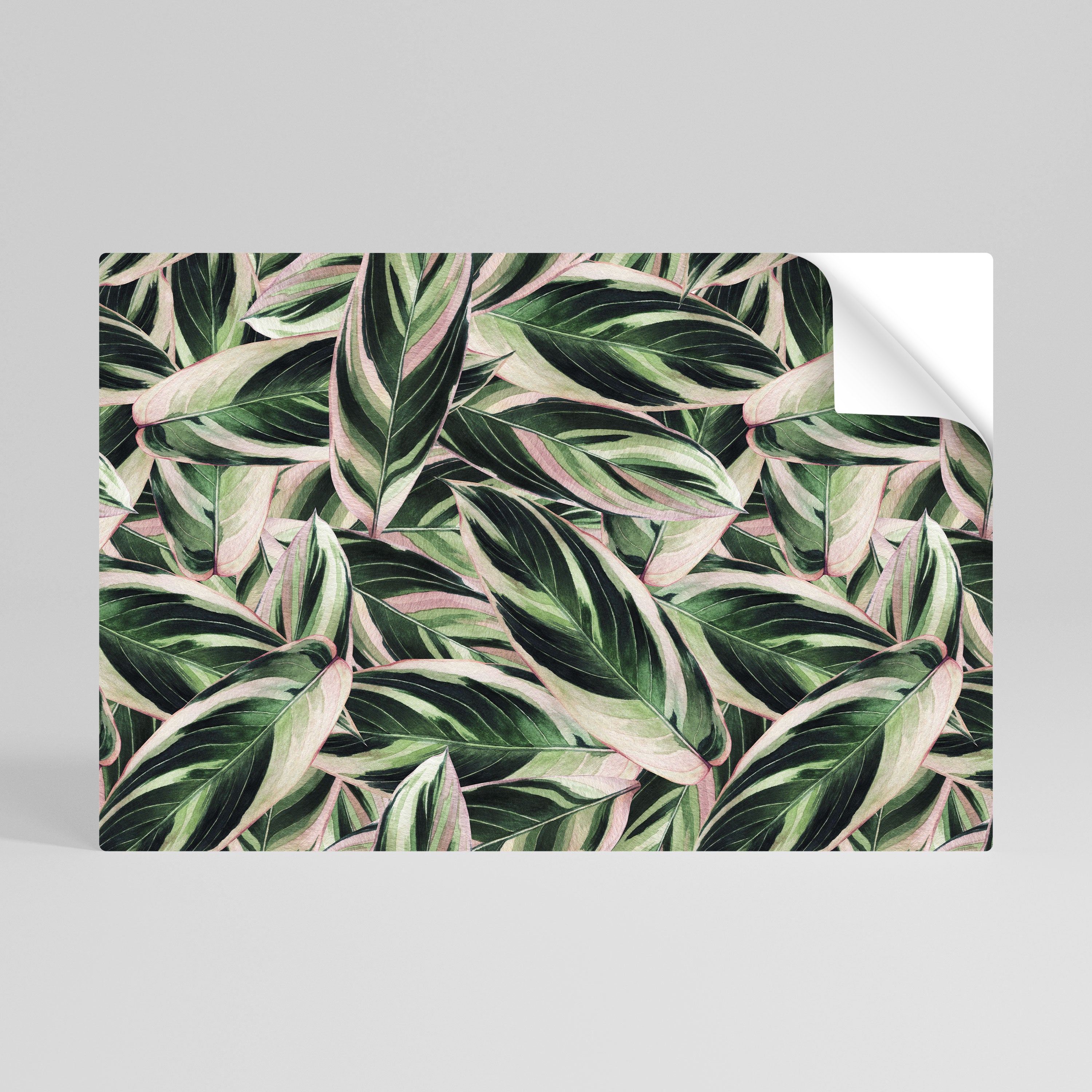 EERIE STROMANTHE Peel and Stick Horizontal Poster