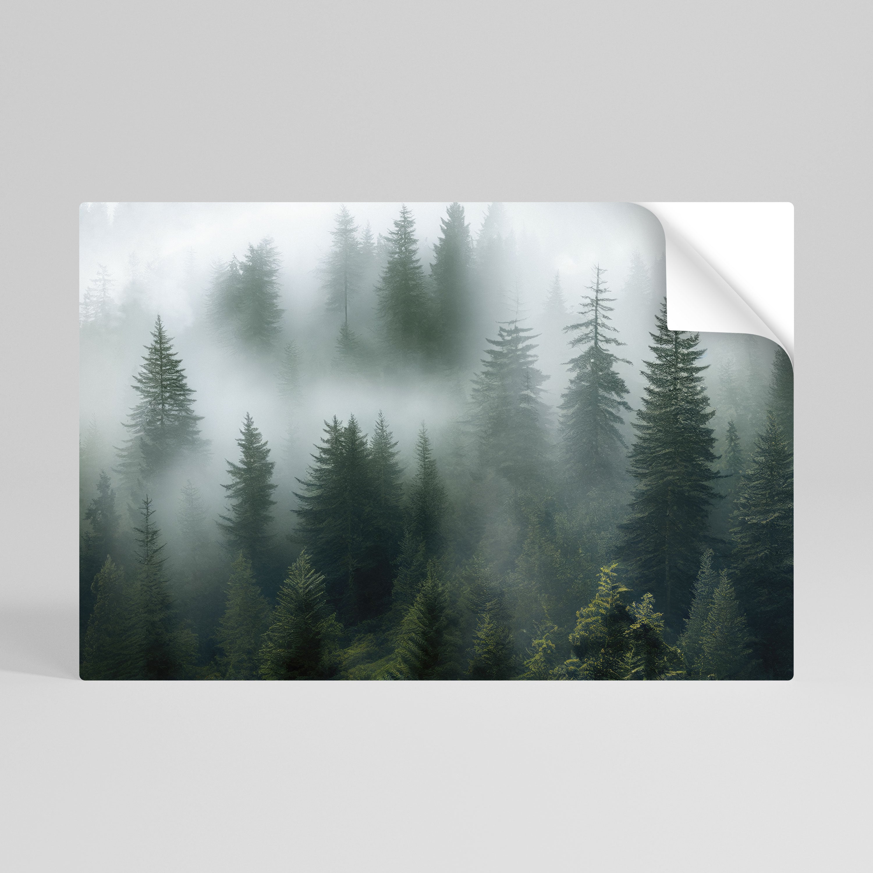 FOGGY CREST Peel and Stick Horizontal Poster